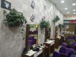 Green Flower Stand Hanging Wall Indoor Balcony Hanging Semi-Circular Flower
