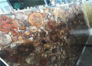 Quality Petrified Wood Semi Precious Stone Slabs Smooth Surface Customized Cut wholesale