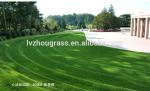 40mm Artificial Golf Grass Landscape Synthetic Green 16800turfs Every Sqm