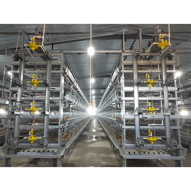 Q235 H Type Automatic Broiler Chicken Cage In Poultry Farm
