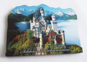 Quality Custom Photo Print Fridge Magnet , 3D MDF Personalised Photo Fridge Magnets wholesale