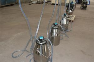 Quality HL-JN10 Cow Farm Pail Bucket Milking Machine with Electric Motor 380V 50Hz wholesale