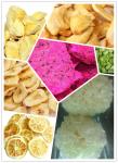 Home Small Freeze Dryer SUS304 For Pet Food Fruits Vegetable Meat