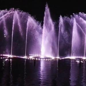 Quality Hotel Music Water Dancing Fountain Stainless Steel Musical Signal Control wholesale