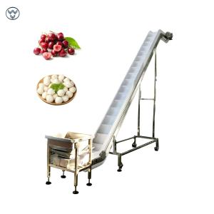 Quality Inclined Belt Chain Conveyor For Conveying Frozen Food Fresh Cherry Burry wholesale
