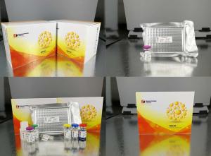 Quality High Sensitive CGRP Rat ELISA Immunoassay Kit Calcitonin Gene Related Peptide wholesale