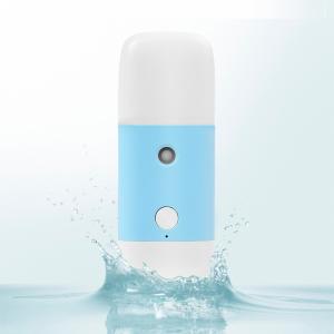 Quality Electric 200mAh 11.5kg Mini Facial Nano Mist Sprayer wholesale