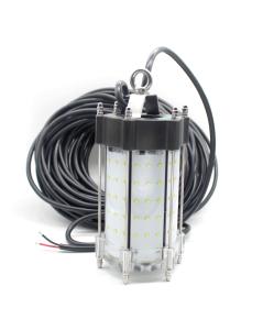 Quality Waterproof 12V IP68 SS316 Submersible Fishing Lights wholesale