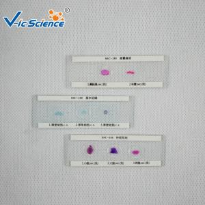 Quality Primary School Glass Slide Cover 10 Pcs Different Material In One wholesale