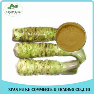 Quality Hot Sale Free Sample Fresh Horseradish Extract Powder wholesale