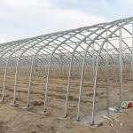 Optimal Plant Cultivation Tunnel Greenhouse Covered with 150/200micro PO Film