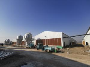 Quality Anti Corrosive Galvanized Full Antomatic Poultry Farm Shed Bird House Prefabricated wholesale