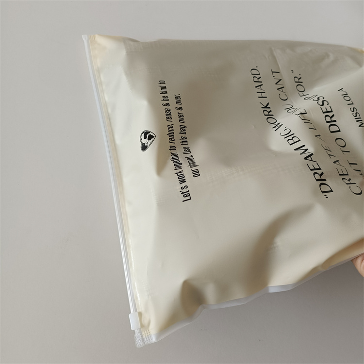 Customize Any Color Moisture Proof Polybags for Shoes and Clothing Frosted Zipper Bag