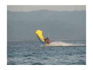 Quality Lake Towable Inflatables Flying Fish Boat Tube for Outdoor Acctivity wholesale