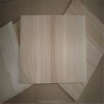 Unisex ABS Paulownia Board Showcase Taekwondo Breaking Prowess