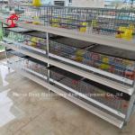 Save Space Poultry Broiler Chicken Cage Low Carbon Steel Wire In Africa Adela