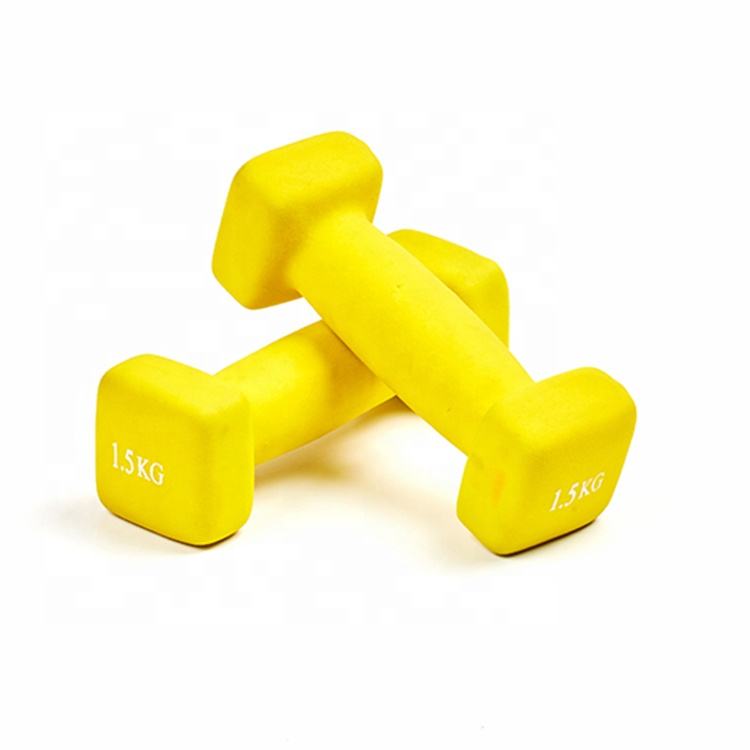 Custom Colorful Vinyl Coated Cast Iron Dumbbell Square Shaped