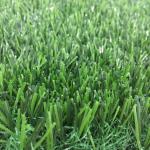 Sports Non Infill Artificial Grass Soccer Field Envrionmental Protection