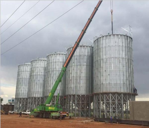 Great volume popular TCK series hopper bottom galvanized steel rice paddy