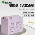 Chargeable Lead Acid Battery 12V50Ah For UPS Solar Panel Energy Storage Power