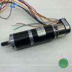 42RBL 42mm Cylindrical Body DC Brushless Motor BLDC Motors Option With Gearhead