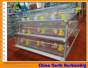 Quality Poultry Cages - William James &amp; Co. wholesale