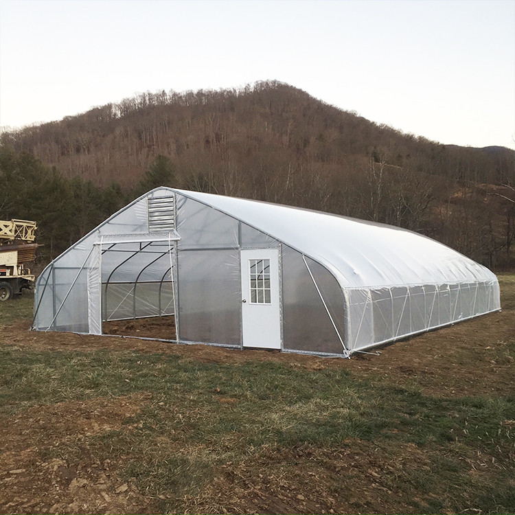 Horticultural Flower Growing Single-Span Film Tunnel Greenhouse Polyethylene Film Greenhouse