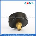 Back Mounting General Pressure Gauge