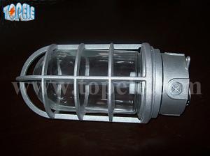 Quality 100W 220V Brozen Gray IP65 Vapor Proof Lights Die - Cast Aluminum wholesale