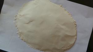 Quality With GAP HACCP and KOSHER certificate for Garlic Powder wholesale