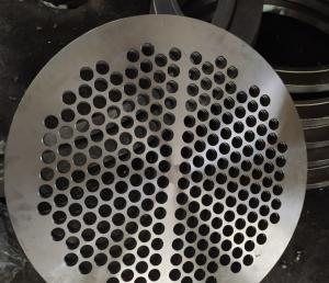 China Forged Disc Tube Sheet ASME Forging/Forged Titanium/Steel/Copper Tube Sheet on sale