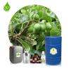 Buy cheap Skin Revitalizer Organic Cold Pressed Neem Oil 100% Pure from wholesalers
