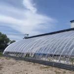 Arched Roof Hydroponics Growing System in Sunlight Greenhouse with Steel