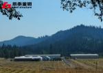 Weather Resistant Prefab Farm Buildings Rectangular Steel Structure Greenhouse