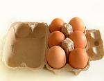 Used Paper Egg Packing Trays Making Machine Semi Auto Operation CE & ISO