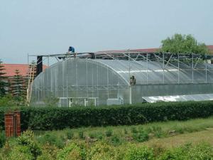 Quality White / Transparent Commercial Outdoor Greenhouse Transmittance Rate &gt;80% wholesale