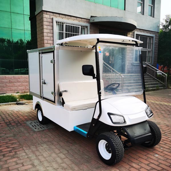 Electric Golf Cart 4 Wheel 2 Passengers Car With Container Load Buggy Stroller