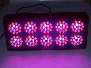 Quality Horticulture led CDL180X3 LED Full Spectrum 430W LED Grow Light for Indoor Plant Growing wholesale