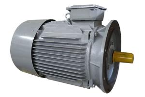 Quality Y2 Series 2hp 3 Phase Induction Motor Electric Pump Type Low Noise Large Torque wholesale