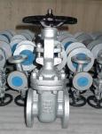Oil Media ANSI ISO/Coc/CE Flanged Gate Valve Z40/Z41 30 Days for Hassle-Free