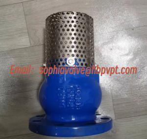 Quality manufacture foot valve PN16 GGG50 cast iron material wholesale