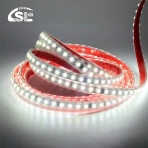 Quality 4000K High Brightness Electroplate 110v220v 10mm CE RoHs Ra80 SMD2835 Led Strip Light wholesale