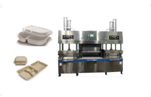 Quality Biodegradable Pulp Molded Food Tray Machine wholesale