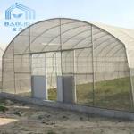 Tropical Plastic Film Cross Top Sawtooth Greenhouse Single Span Tunnel Plastic