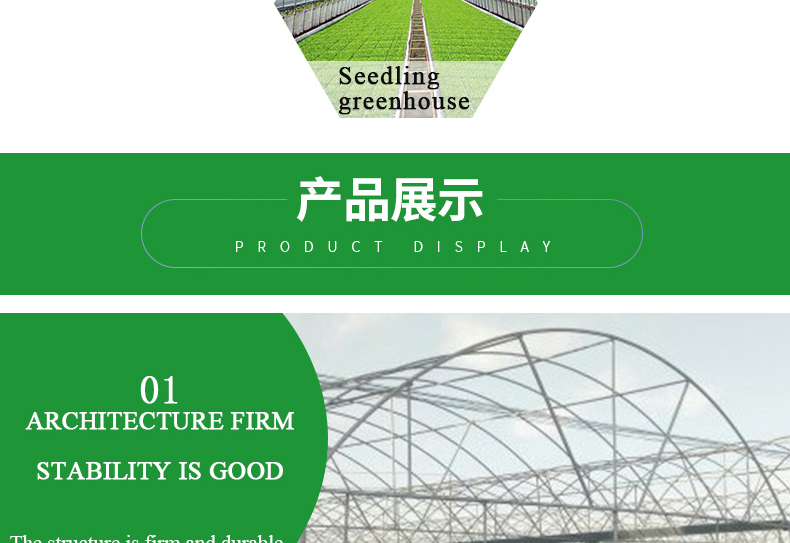 Commercial Film Covered Single Tunnel Greenhouse for Maximizing Agricultural Output