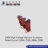 Buy cheap 24kV AC Vacuum Contactor Rated Current 160A 250A 400A 630A from wholesalers