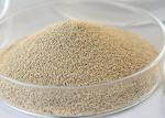 Immobilized Lipase, Industrial Enzyme, Bioenergy Enzyme, environmental