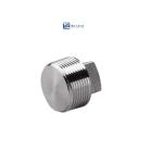 Silver Coated WZ Stainless Steel 304 316 316L High Pressure Forged Square Plug