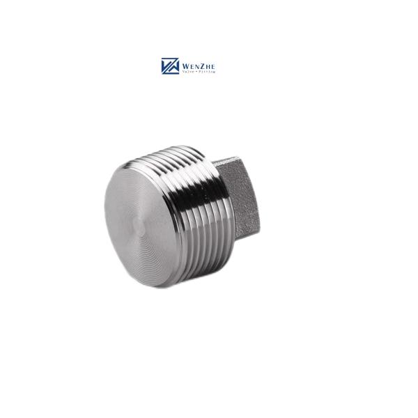 Silver Coated WZ Stainless Steel 304 316 316L High Pressure Forged Square Plug