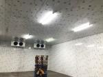 300 Square Meters Vegetables and Fruits Walk In Cold Room Manufacturer